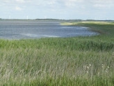 Nissum Fjord
