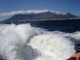 Cape Town - South Africa