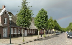 slotsgaden-in-møgeltønder-with-trees-and-motorcycles
