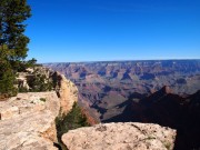 Grand Canyon med træ og klipper