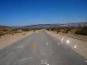On the road in Joshua Tree national park