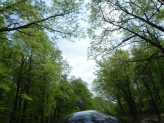 Spring Ride with Friends Saturday 1
