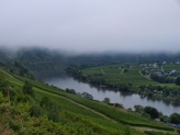 Mosel früh morgens