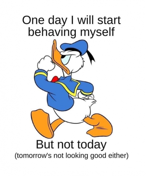 Tour Tour Goostown hjem image