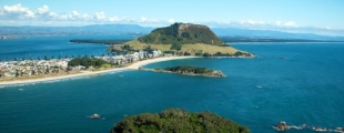 Bay of Plenty