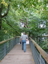 Höhenweg in den Bäumen