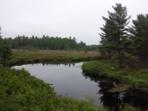 GrandLakeStream from ManchNH