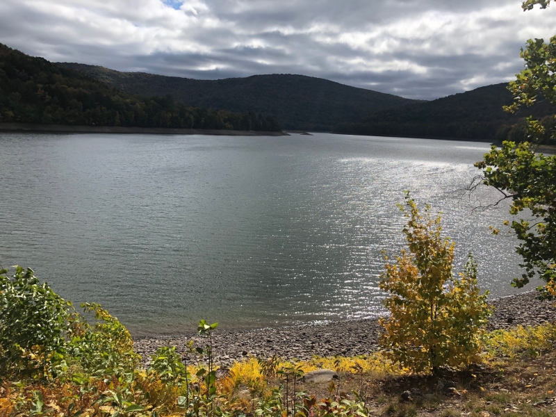 Tour Catskills Reservoir Dogs image