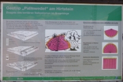 geologische Formation