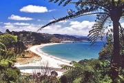 Coromandel