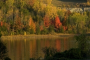 Fall Reflections on the Breeze