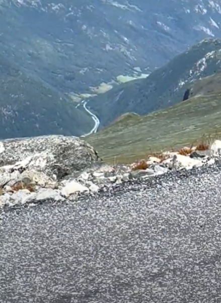 Tour RB 2025 SA - dag 5 image