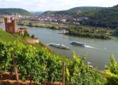 Rheinhessen Tour