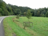 L 269 vor Neustadt