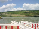 Übersetzen nach Rüdesheim