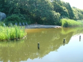 Borbjerg Mølle