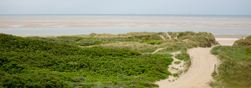 Tour Militær øvelses ruten m/de 12 sving image
