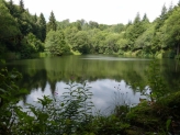 Grillplatz Basaltsee, NES 13, Oberelsbach, Deutschland