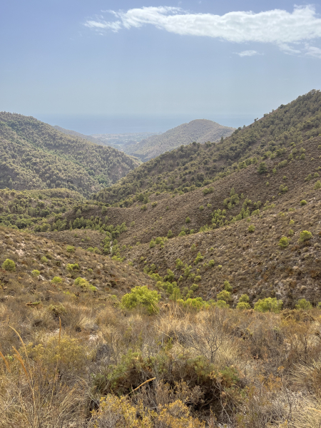 Tour 10/02 2025 7BV1 Frigiliana- Malaga lufthavn retur til DK image