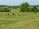 Borbjerg Mølle