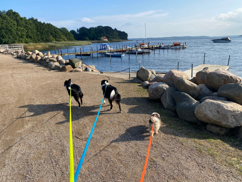 Tour SJ - Frederikssund kort - Selsø - Tadre mølle image