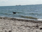 Strand og sol