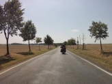 im NSG Presseler Heidewald