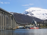Arctic Adventure