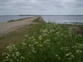 FILSØ