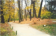 Англійський парк