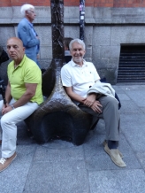 Peter i Dublin