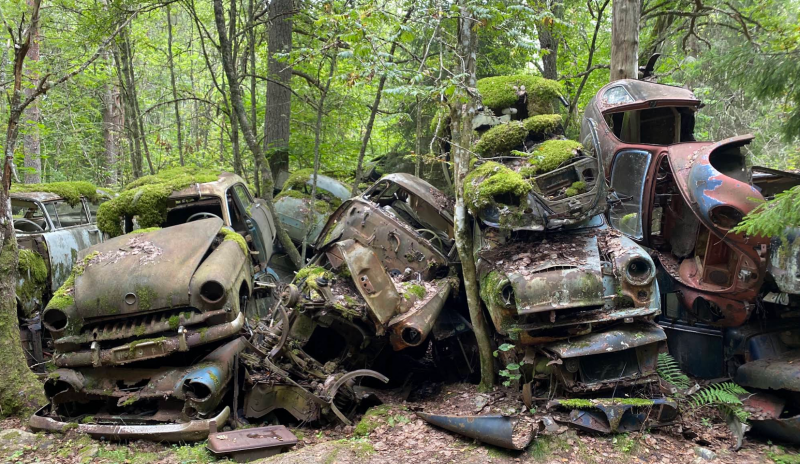 Tour Vänern rundt 2025 dag 2 image