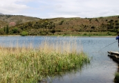 Estany de Montcortés