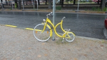 Weird bike