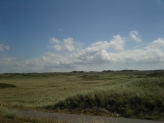 hede i danmark
