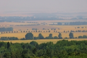 Blick vom Baumpfad
