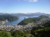 Picton harbour