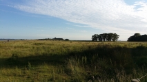 Horsens syd-Ikast - over Løvet