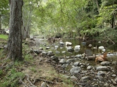 Big sur river