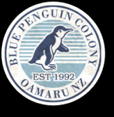 Blue penguins