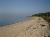 Stranden på Trelde Næs
