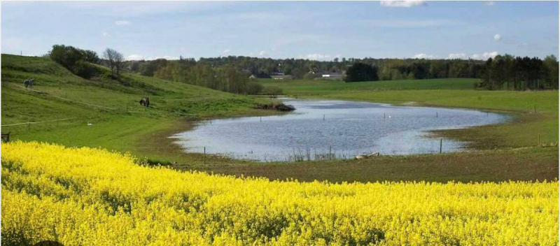 Tour 12.5.25 BMW Fr.borg-Hillerød image