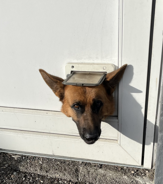 Tour Jes 2025 4. sejle på Lysefgjorden image