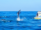 Kaikoura