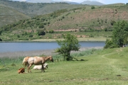 Volta cap a la Val d'Aran i Àreu