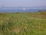 Vejle fjord og sejlbåd