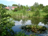 Vandhul med åkander