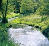 Grejsdalen