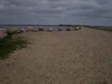 Filsø