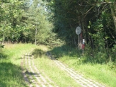 Kolonnenweg, Rhönblick, Deutschland